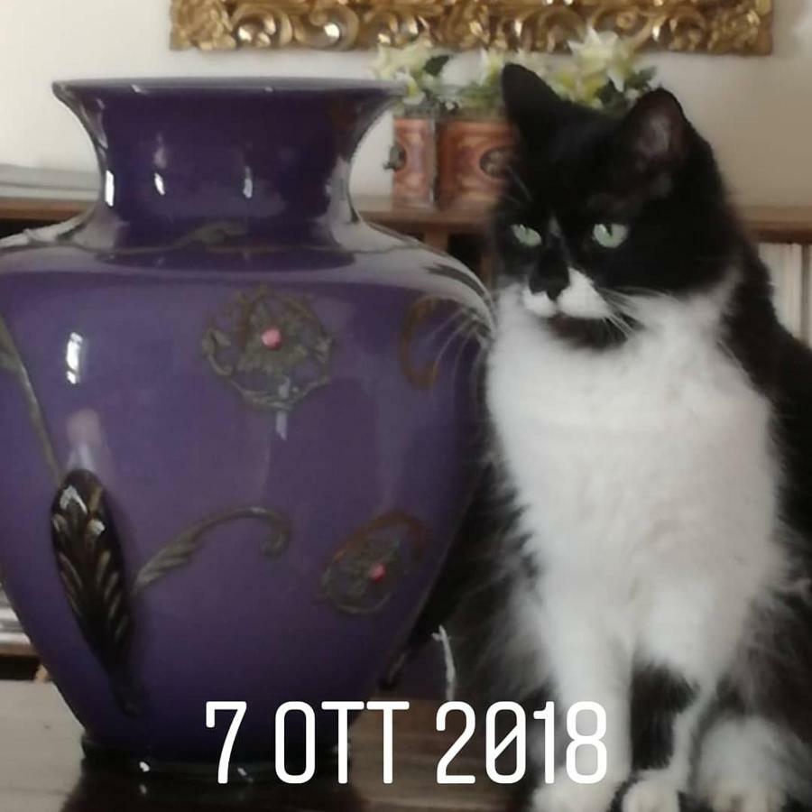 Bed and Breakfast Rosella Bianchi Palermo Zewnętrze zdjęcie